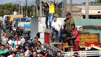 Kenaikan harga solar dianggap memberatkan para supir truk, terlebih saat ini Brasil sedang dalam kondisi ekonomi yang belum stabil. Hal tersebut membuat para supir truk melakukan demo dan mogok kerja selama lebih kurang sembilan hari setelah keputusan kenaikan harga solar. Leonardo Benassatto/Reuters.