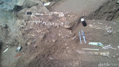 Penampakan Kerangka Manusia 4.000 Tahun di Gua Jarie, Sulsel