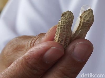 Kacang Isi Sabu Beredar di Bandung