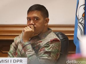 Transaksi Senpi di Kasus Mutilasi, Legislator: Awasi Gerak Amunisi-Senjata