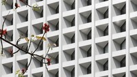 Bagian luarnya menampilkan jendela yang sangat tersembunyi yang diposisikan secara hati-hati untuk menghindari sinar matahari. Istimewa/Inhabitat.