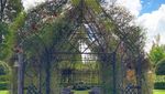 Foto: Gereja Pohon Paling Menawan di Dunia