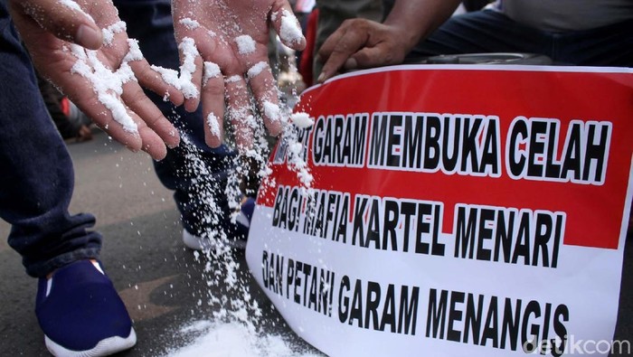 Sekitar 200 massa yang terdiri dari organisasi mahasiswa Garda NKRI dan para petani garam siang ini menggelar aksi demonstrasi di depan Istana Merdeka, Jakarta, Rabu (30/5/2018). Mereka menolak kebijakan pemerintah mengenai impor garam 3,7 juta ton.