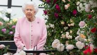 Mau Makan Malan Bersama Ratu Elizabeth II? Ini Dua Aturan yang Harus Ditaati