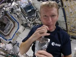 Cara Astronot Makan, Tidur, hingga Panggilan Alam