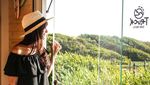 Foto: Hotel Berjalan yang Keren Buat Para Peselancar