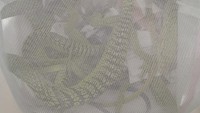 Setelah dilakukan pemeriksaan dipastikan terdapat 7 (tujuh) bungkus plastik yang di antaranya 6 (enam) bungkus berisikan ular ukuran kecil berbagai warna, 1 (satu) bungkus yang berisikan kadal. Saat dihitung ada 50 ular dan 10 kadal yang akan diselundupkan WN Jepang tersebut. Erwin menyebut jenis reptil tersebut merupakan hewan langka yang harus dilindungi. 