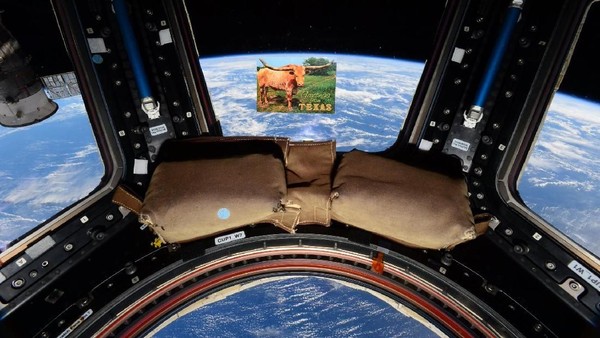 Cara Astronot Makan, Tidur, hingga Panggilan Alam