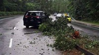 Menurut laporan Straits Times, setidaknya tiga orang dilarikan ke rumah sakit menyusul kecelakaan yang melibatkan tiga mobil tersebut. Dua di antara mobil yang terlibat kecelakaan itu adalah sebuah Lamborghini dan MINI.  Foto: Pool (Facebook)