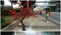 Pohon imitasi yang dicopot bukan hanya di Jl MH Thamrin melainkan juga di Jl Medan Merdeka Barat. Tampak 2 mobil bertulisan Storing PJU mengangkut pohon imitasi tersebut di depan gedung Sapta Pesona, Jl Medan Merdeka Barat, Jakpus