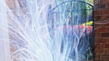 Potret asap dupa dari teknik foto Long exposure. (Foto: Brightside)
