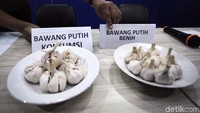Para pelaku menjual bawang putih itu padahal bibit bawang putih peruntukannya bukan untuk dijual atau dikonsumsi. Ditambah lagi mereka mengelabui konsumen dengan membuat keterangan palsu dalam kemasan.