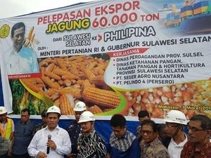Mentan: Produksi Jagung Naik, Kesejahteraan Petani Meningkat