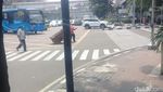Foto: Before-After Pohon Imitasi di Trotoar Jakarta yang Bikin Heboh