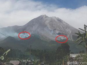 Ada Hutan Terbakar karena Lontaran Material Erupsi Merapi
