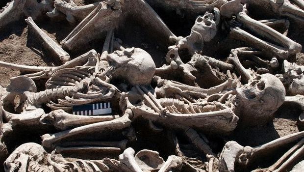 Fosil tulang kuno tempat ditemukannya DNA Hepatitis B