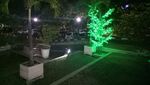 Foto: Gemerlap Pohon Imitasi Hiasi Balai Kota DKI