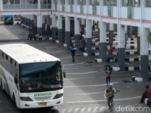 Pengusaha Minta Sopir hingga Kernet Bus Dapat BLT dari Jokowi