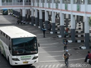 Pengusaha Minta Sopir hingga Kernet Bus Dapat BLT dari Jokowi