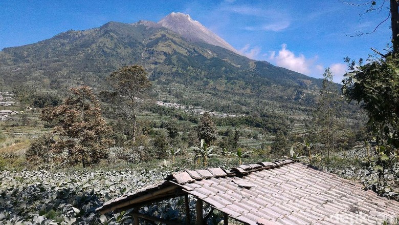 Melihat Lahan Pertanian di Boyolali Memutih Diselimuti Abu Merapi Melihat Lahan Pertanian di Boyolali Memutih Diselimuti Abu Merapi