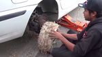 Gokil! Ini Bentuk Ban dari Karet Gelang saat Digunakan di Jalanan