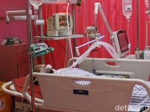 Pesta Miras Oplosan Renggut Satu Korban di Situbondo Libatkan Pasutri