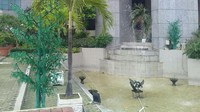 Foto: Pohon imitasi yang dipasang di Gedung DPRD DKI Jakarta mayoritas berwarna hijau.Fotografer: Sahaya Anisa/detikcom