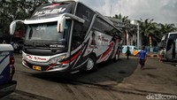 Menurut Kepala Terminal Bus Tanjung Priok, Mulya sedikitnya 115 bus sudah disiapkan untuk mengangkut pemudik tahun ini.
