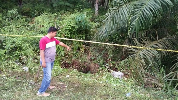 Mayat Wanita Tanpa Identitas Ditemukan di Paluta Sumut