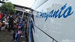 Pemudik Mulai Padati Terminal Tanjung Priok