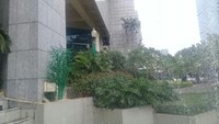 Foto: Menurut Iswandi, pohon-pohon imitasi di Balai Kota dan DPRD berbeda dengan yang ada di Jl MH Thamrin. Tetapi tahun pembeliannya sama. Baik DPRD maupun Balai Kota dipasang tahun 2017, kata dia. Fotografer: Sahaya Anisa/detikcom