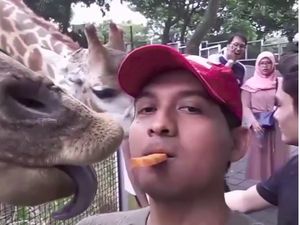 Ini Momen Kulineran Lucky Hakim yang Sering Makan Bareng Binatang Peliharaannya
