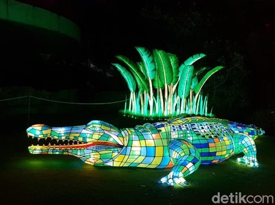 Saat Kebun Binatang di Sydney Bermandikan Cahaya, Cakep! Saat Kebun Binatang di Sydney Bermandikan Cahaya, Cakep!