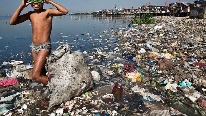 Miris Hewan Laut Terancam Punah Karena Sampah
