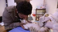 Foto: OMAR HAJ KADOUR / AFP