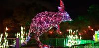 Saat Kebun Binatang di Sydney Bermandikan Cahaya, Cakep!