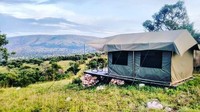 Taman nasional yang tak kalah menarik dari Vilcanoes National park adalah Akagera dan Nyungwe (visitrwanda_now/Instagram)