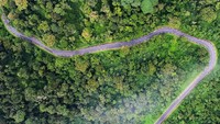 Rwanda sendiri terkenal dengan alamnya yang indah. Wisata alam seperti safari pun jadi favorit turis di sana (visitrwanda_now/Instagram)