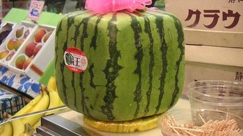 Para ahli botani Jepang menciptakan semangka berbentuk kotak agar dapat disimpan lebih mudah di lemari pendingin. (Foto: Boredpanda)