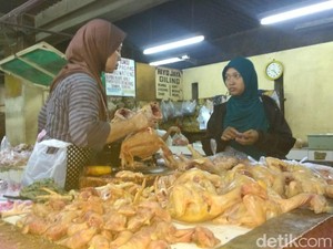 Harga Ayam Potong Tinggi, Pengecer Menjerit
