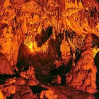 (pixelpav/Instagram)