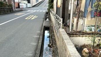 Canggihnya sistem drainase di Jepang bikin ikan koi pun bisa berenang di selokan yang jernih. (Foto: Boredpanda)