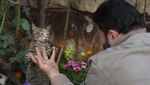 Foto: Jaleel, Manusia Kucing di Tengah Perang Suriah