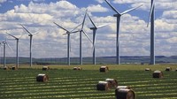 Dengan kapasitas terpasang lebih dari 12 GW, Kanada punya cukup daya untuk lebih dari 3 juta rumah. Menurut Canadian Wind Energy Association (CWEA), ada hampir 300 kebun angin yang beroperasi di Kanada. Istimewa/CNBC.