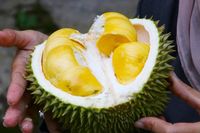 Thailand Akan Kirimkan Durian ke Luar Angkasa untuk Para Astronot