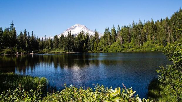 Inikah Villa Paling Mungil di Dunia?