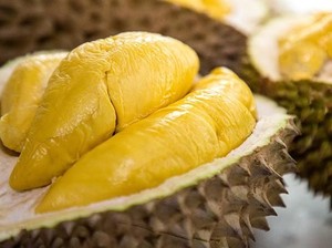Sriwijaya Air Sebut Durian di Pesawat SJ 091 Kurang dari 3 Ton