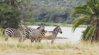 Bertualang di taman nasional pun tak bakal cepat bosan (akagerapark/Instagram)