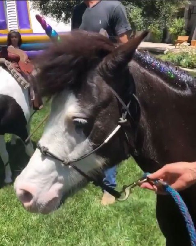 Pesta bertema unicorn tak lengkap tanpa ada kuda. Kim dan keluarganya mendatangkan kuda poni. Di bagian kepalanya dihiasi tanduk warna-warni dan glitter di bulunya. Foto: Dok. Instagram