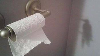 Tisu toilet bayangannya menyerupai burung. Foto: boredpanda